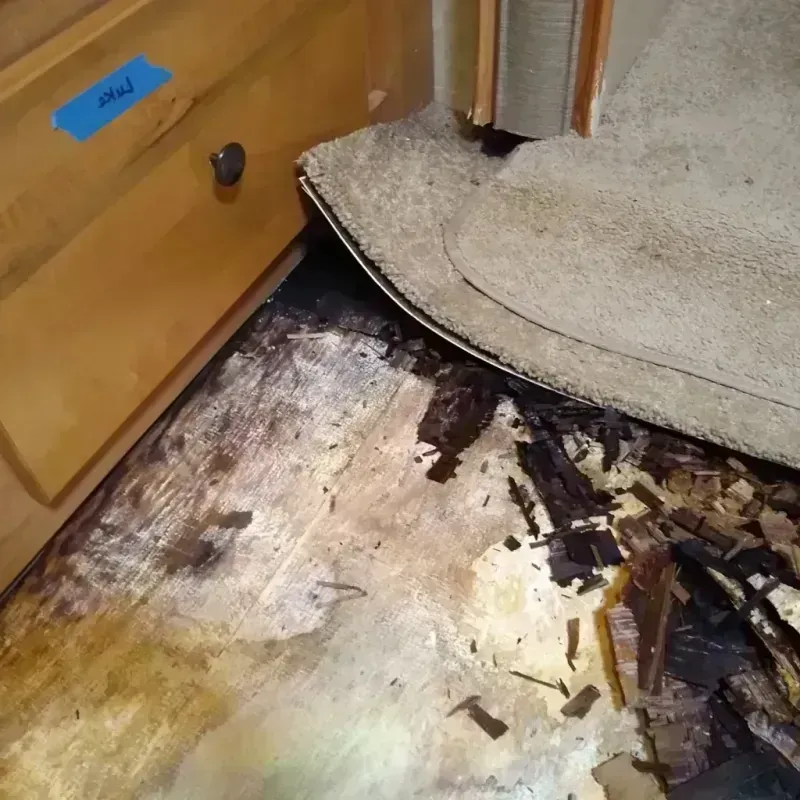 Wood Floor Water Damage in Jonesboro, GA